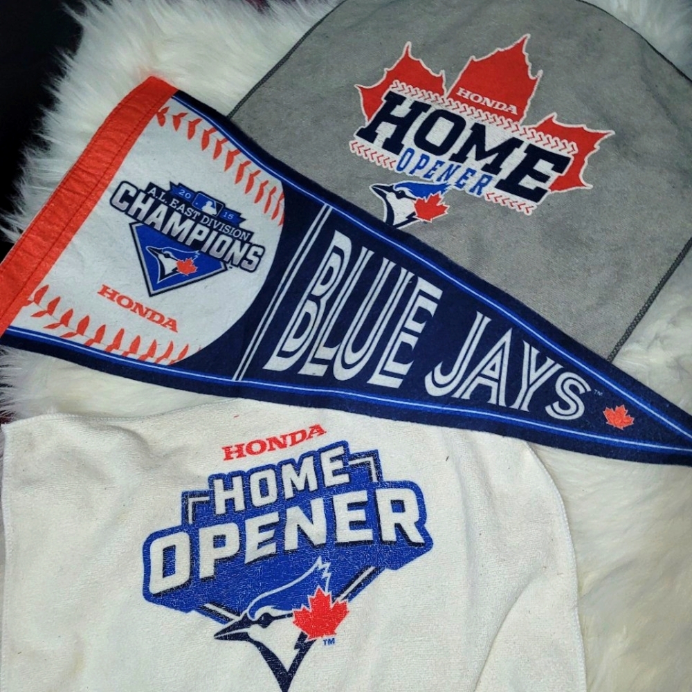 Blue Jay's Bundle 🐦⚾️ - Picture 6 of 6